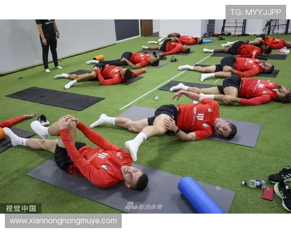 英超球员的健身秘诀与体能维护方案