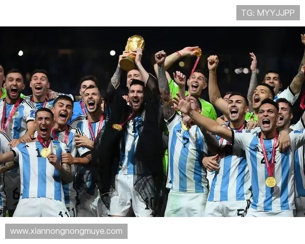 阿根廷昂首挺进世界杯决赛圈再掀蓝白荣耀风暴南美豪门强势回归