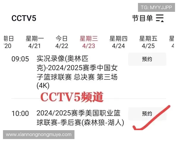 2022年NBA全明星赛CCTV5直播安排正式公布